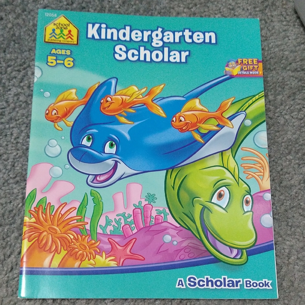 🦋4/$10🦋 Kindergarten Scholar Workbook - New